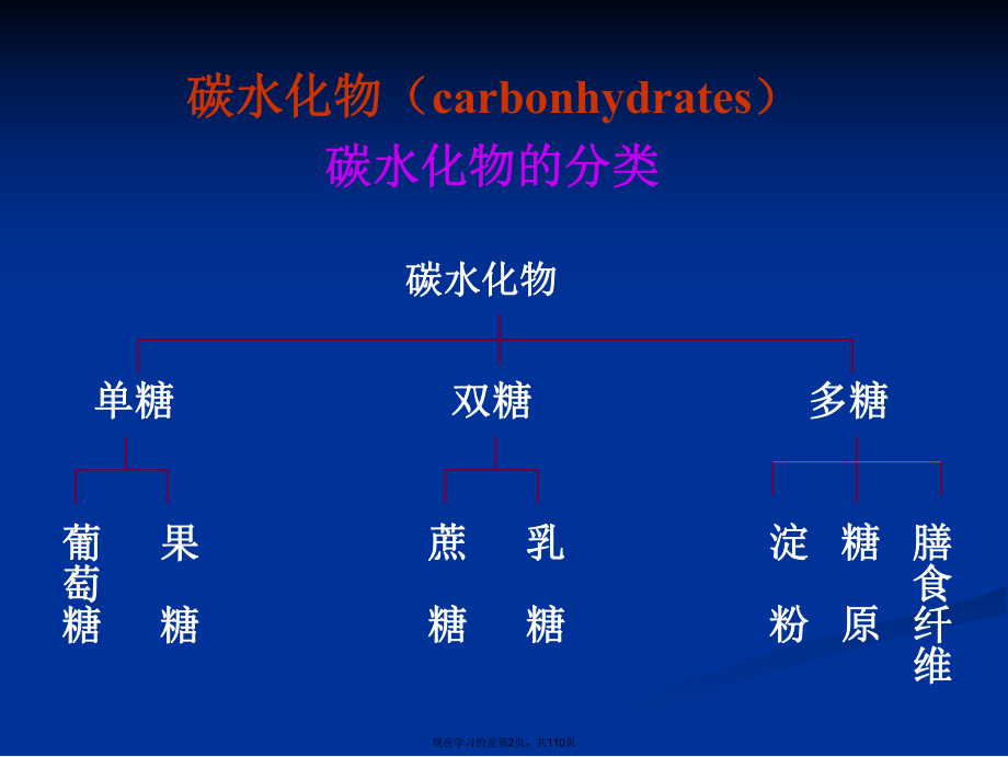 临床营养学 矿物质、维生素课件.ppt_第2页