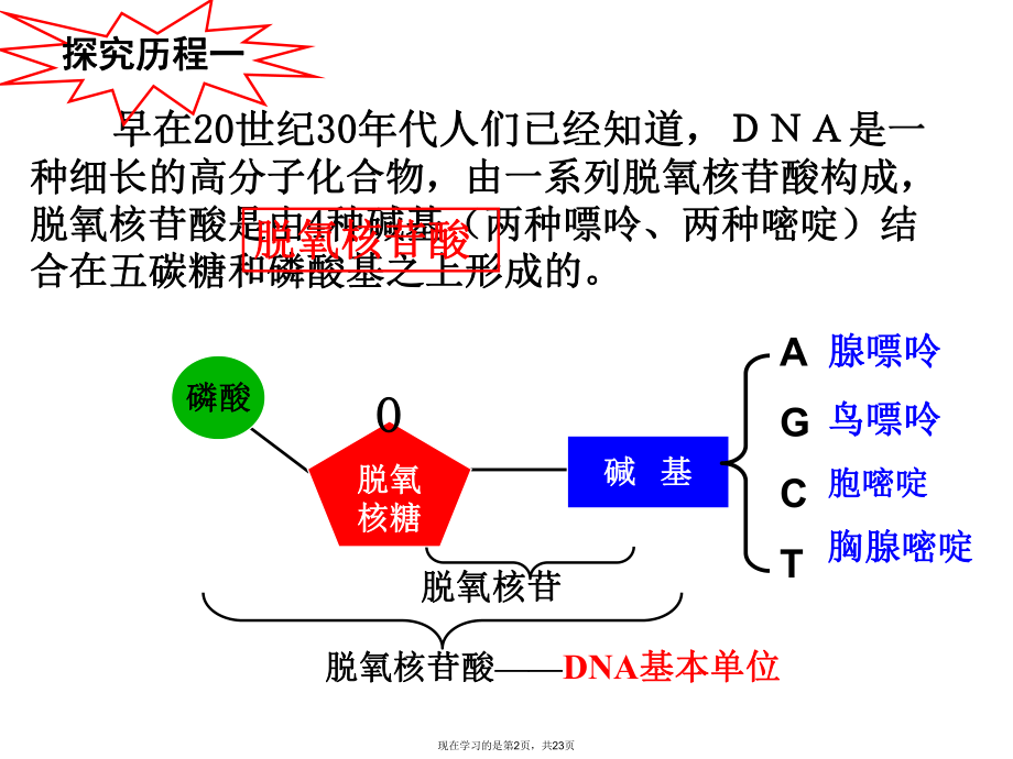 分子结构和特点.ppt_第2页