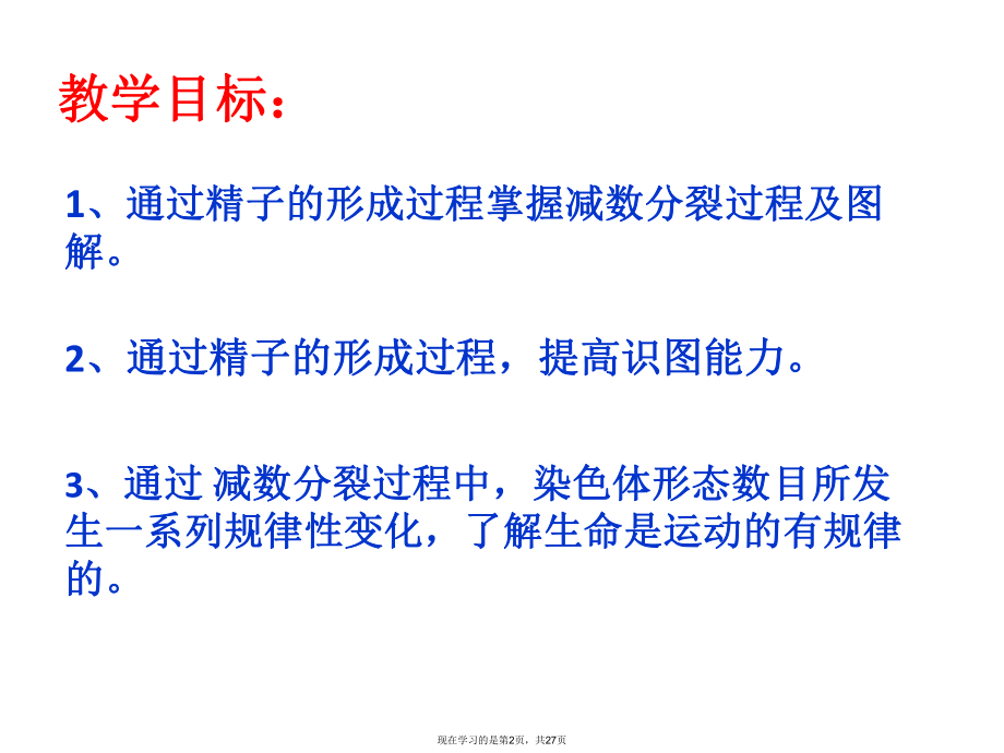 减数分裂过程公开课.ppt_第2页