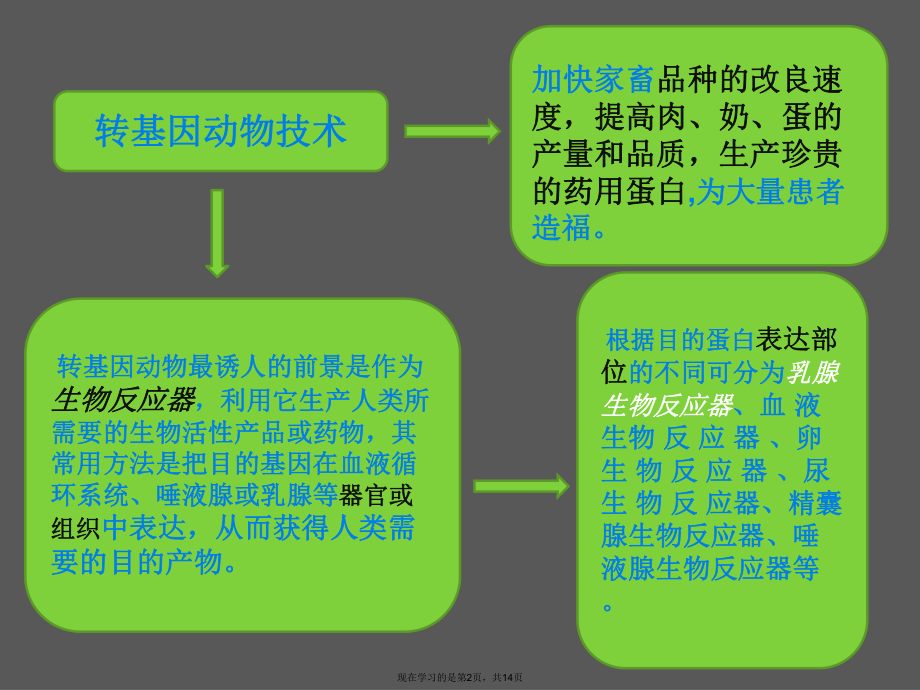 乳腺生物反应器课件.ppt_第2页