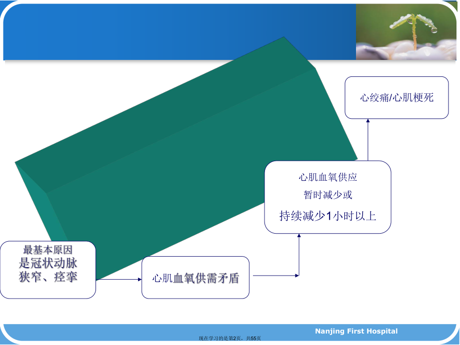 冠心病介入术的护理.ppt_第2页