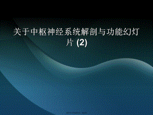 中枢神经系统解剖与功能幻灯片 (2)课件.ppt