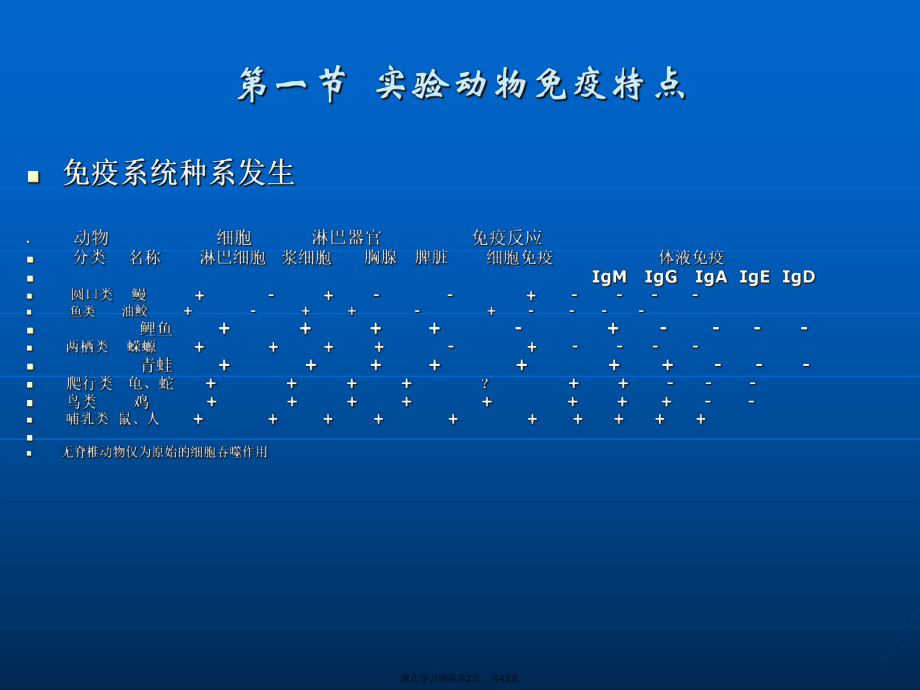 免疫缺陷动物 (2).ppt_第2页