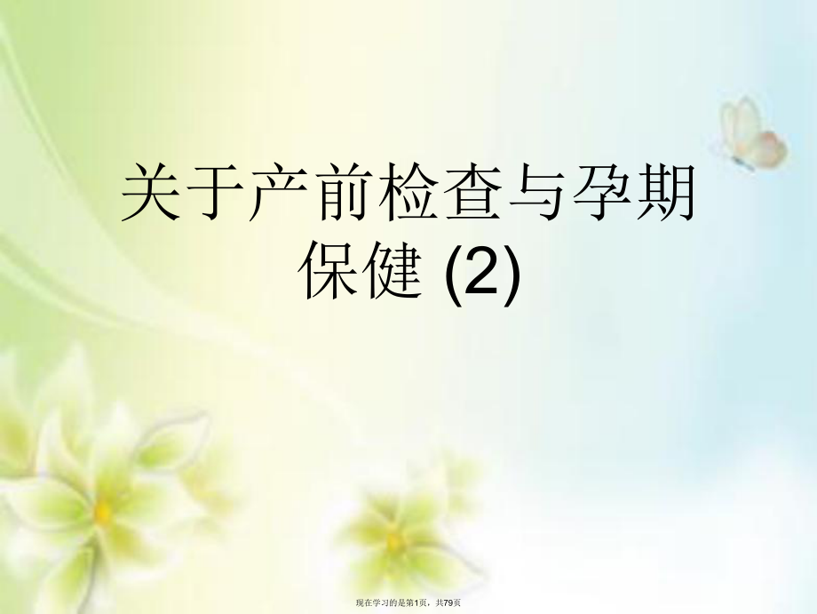 产前检查与孕期保健 (2).ppt_第1页