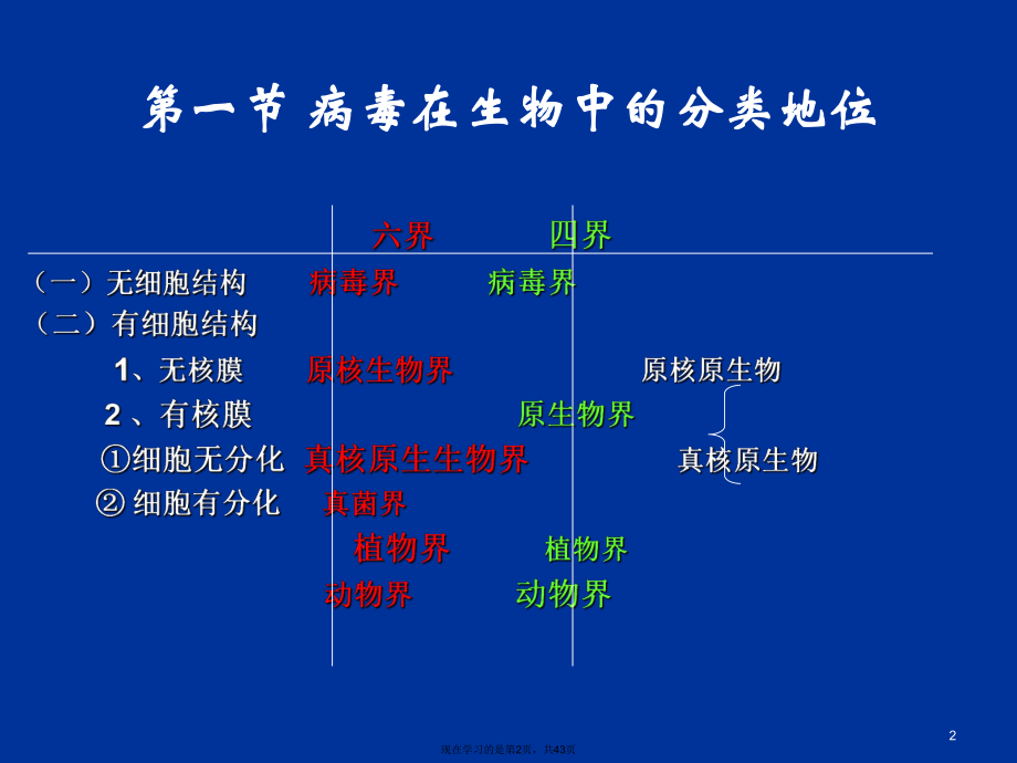 分类与命名 (2).ppt_第2页