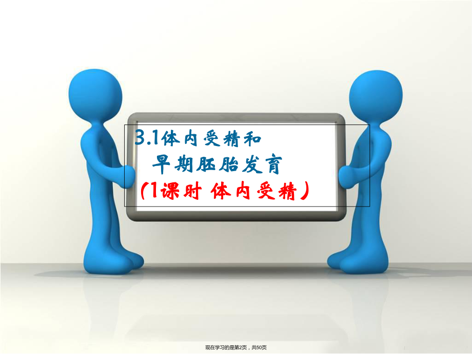 体内受精和早期胚胎发育完美.ppt_第2页