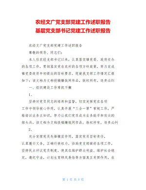 农经文广党支部党建工作述职报告基层党支部书记党建工作述职报告.doc