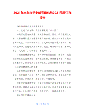 2021年半年来党支部党建总结2021党委工作报告.doc