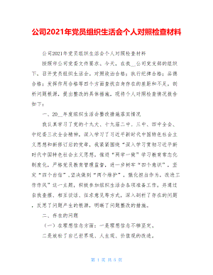 公司2021年党员组织生活会个人对照检查材料.doc