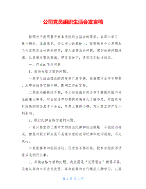 公司党员组织生活会发言稿.doc