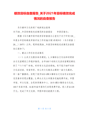 绩效目标自查报告关于2021年目标绩效完成情况的自查报告.doc