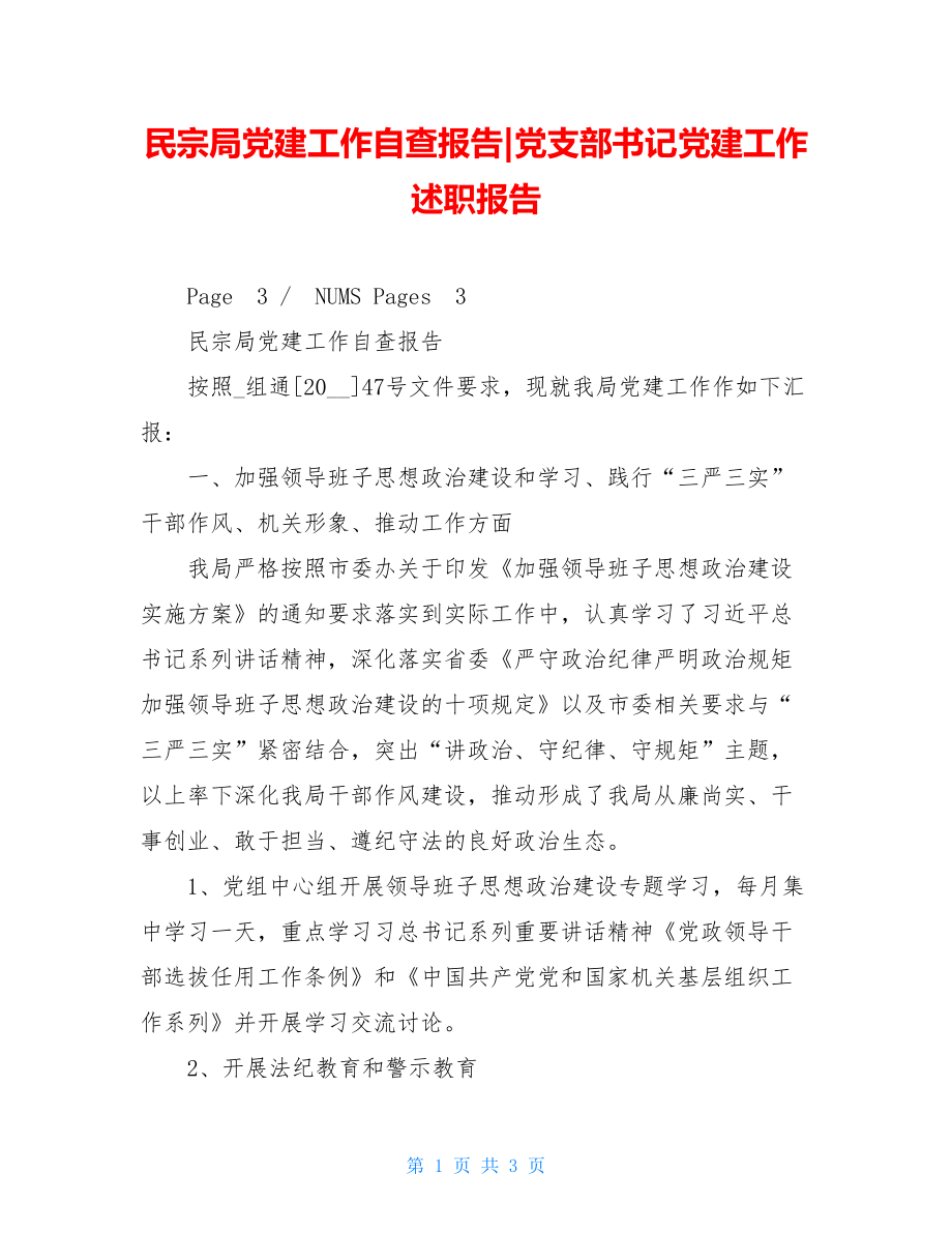 民宗局党建工作自查报告-党支部书记党建工作述职报告.doc_第1页