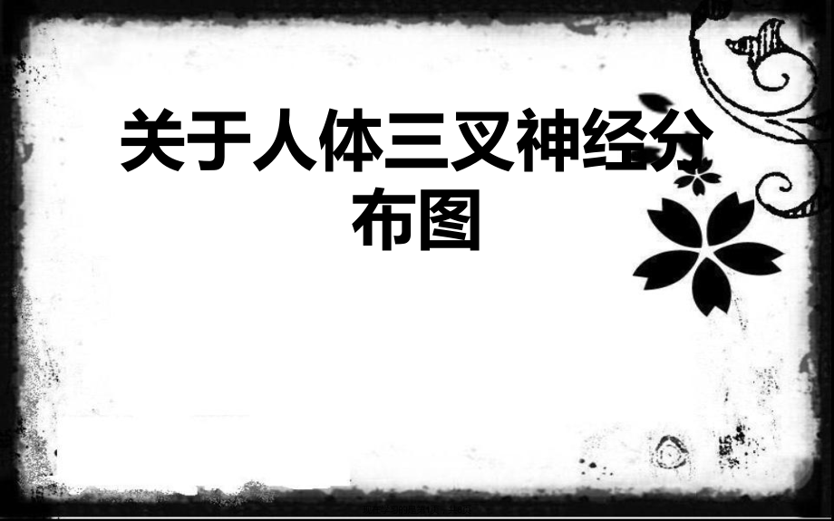 人体三叉神经分布图.ppt_第1页