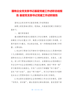 国有企业党支部书记基层党建工作述职总结报告基层党支部书记党建工作述职报告.doc