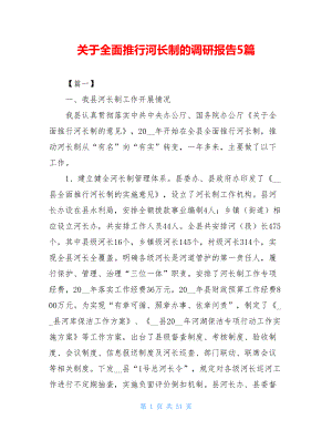 关于全面推行河长制的调研报告5篇.doc