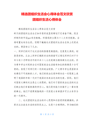 精选团组织生活会心得体会范文欣赏团组织生活心得体会.doc