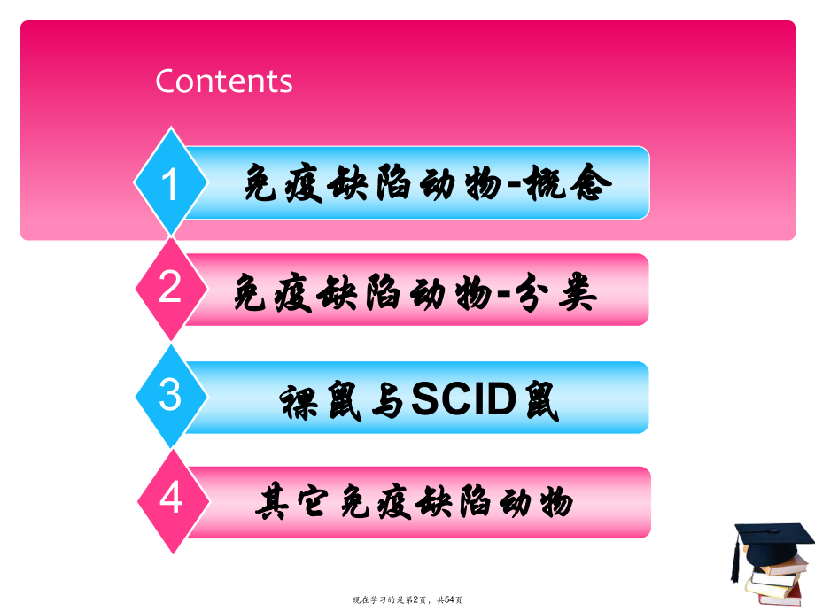 免疫缺陷动物 (3).ppt_第2页