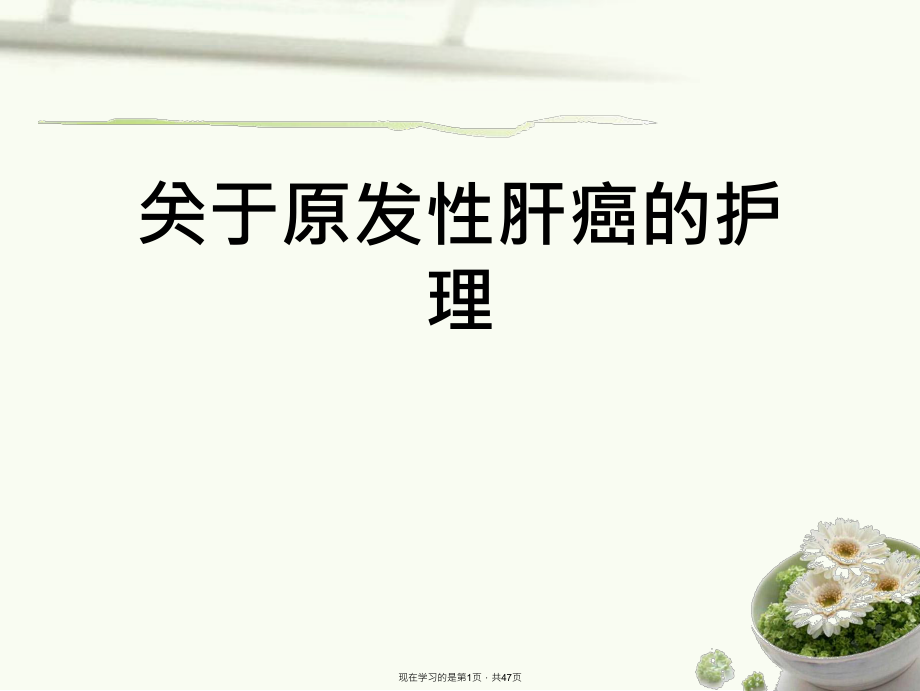 原发性肝癌的护理.ppt_第1页