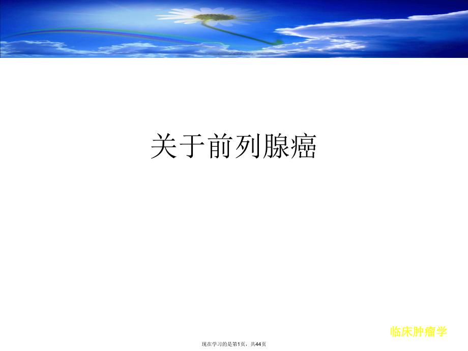 前列腺癌.ppt_第1页