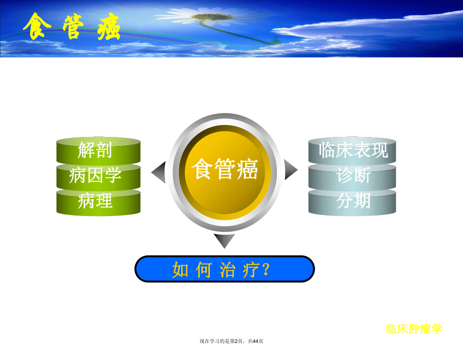 前列腺癌.ppt_第2页