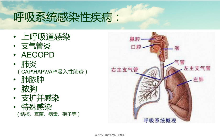 呼吸系统感染性疾病与抗菌治疗.ppt_第2页