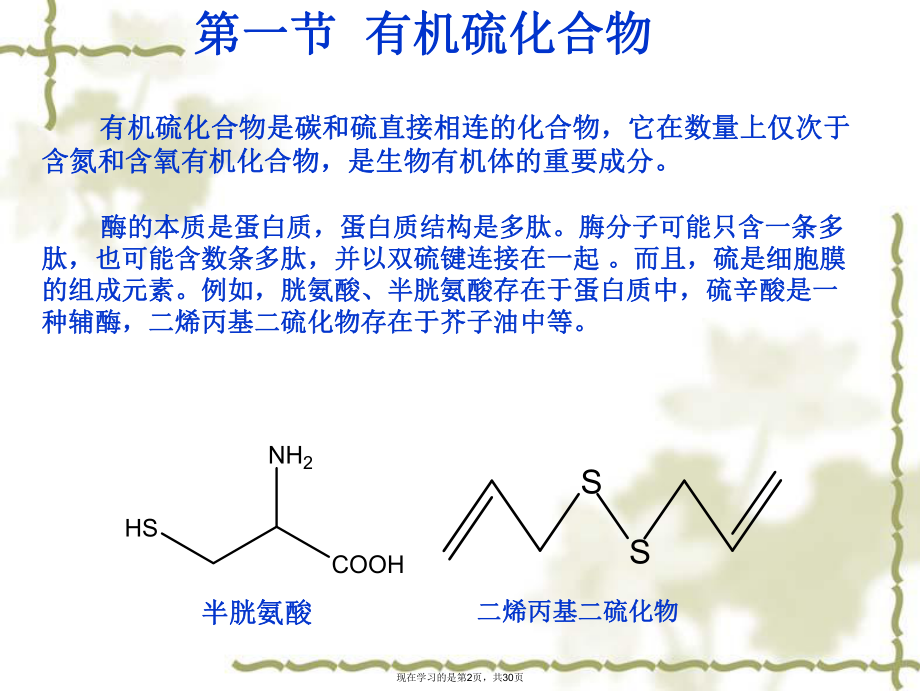 含磷硫和硅有机化合物.ppt_第2页