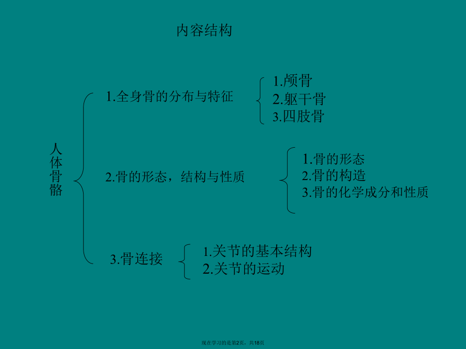 人体骨骼构成图解PPT课件.ppt_第2页