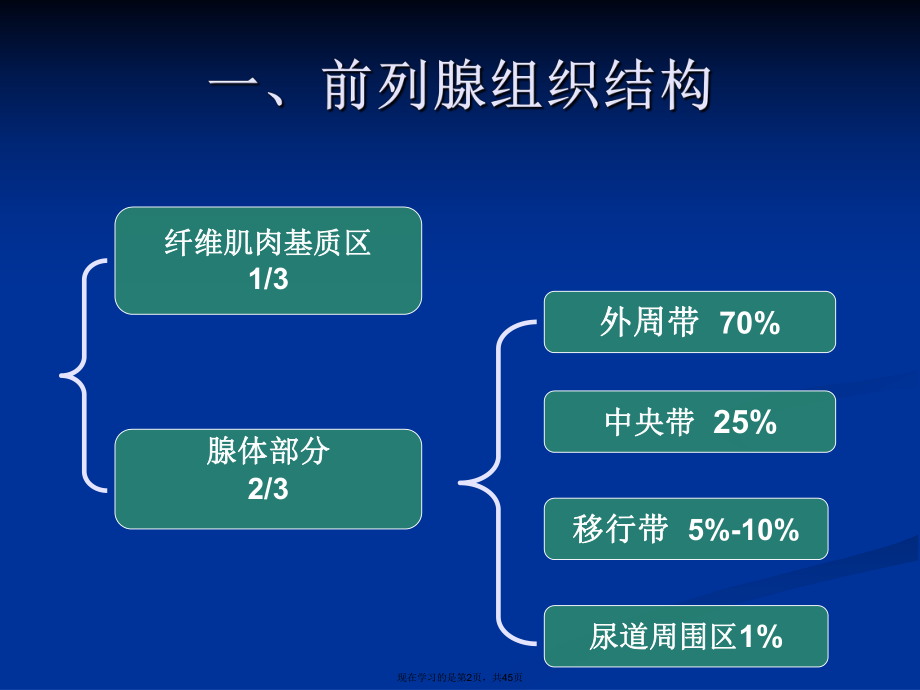 前列腺癌的诊断与治疗.ppt_第2页