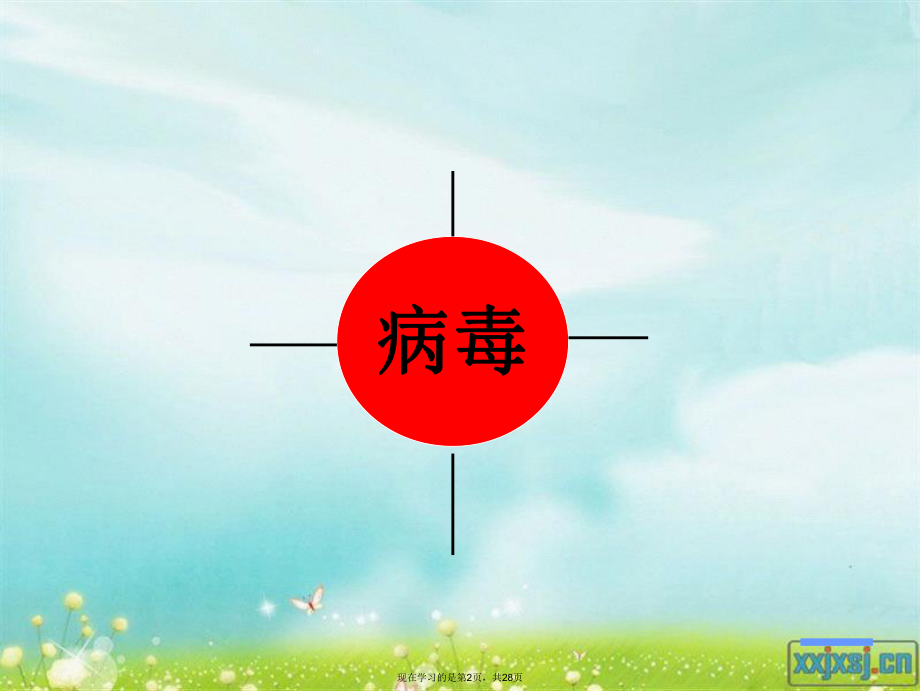 初中生物病毒.ppt_第2页