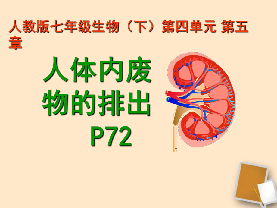 七年级生物下册《第五章-人体内废物的排出》ppt课件.ppt_第1页