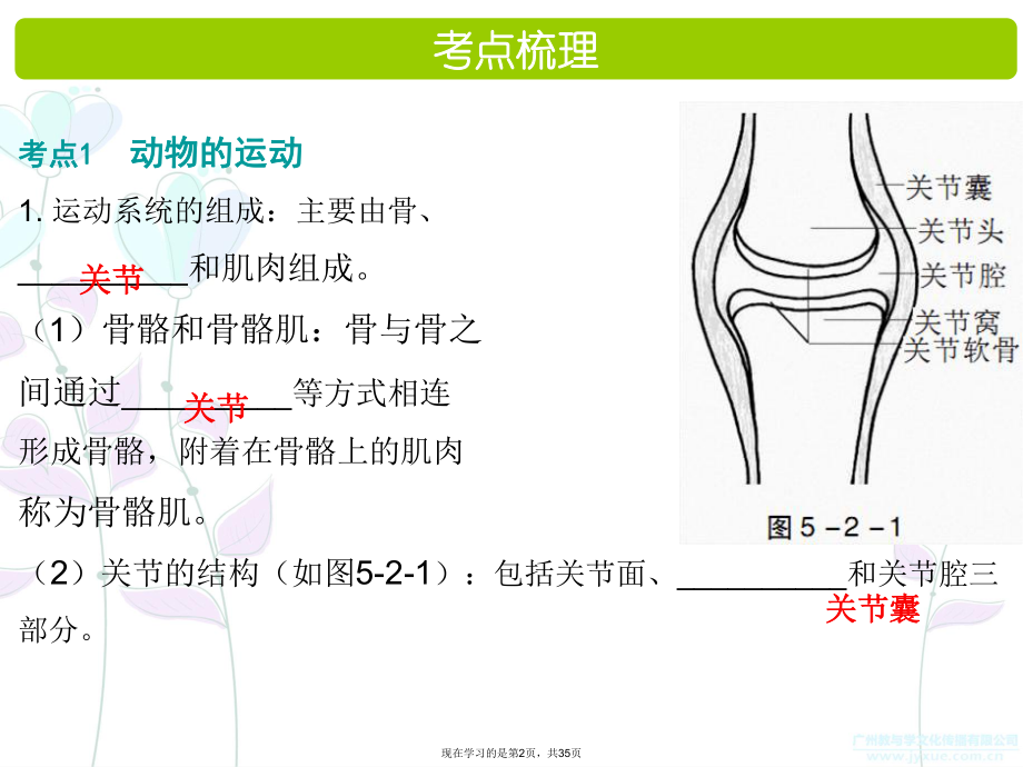 动物的运动和行为动物在生物圈中的作用.ppt_第2页