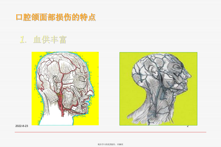 口腔颌面部创伤及护理.ppt_第2页