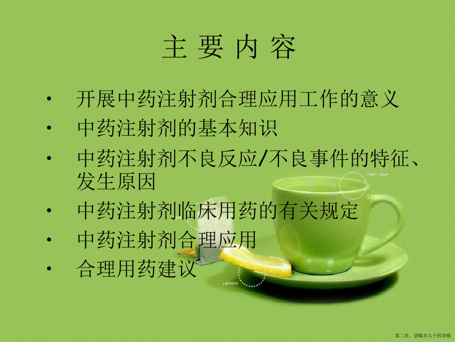 中药注射剂合理用药探讨讲稿.ppt_第2页