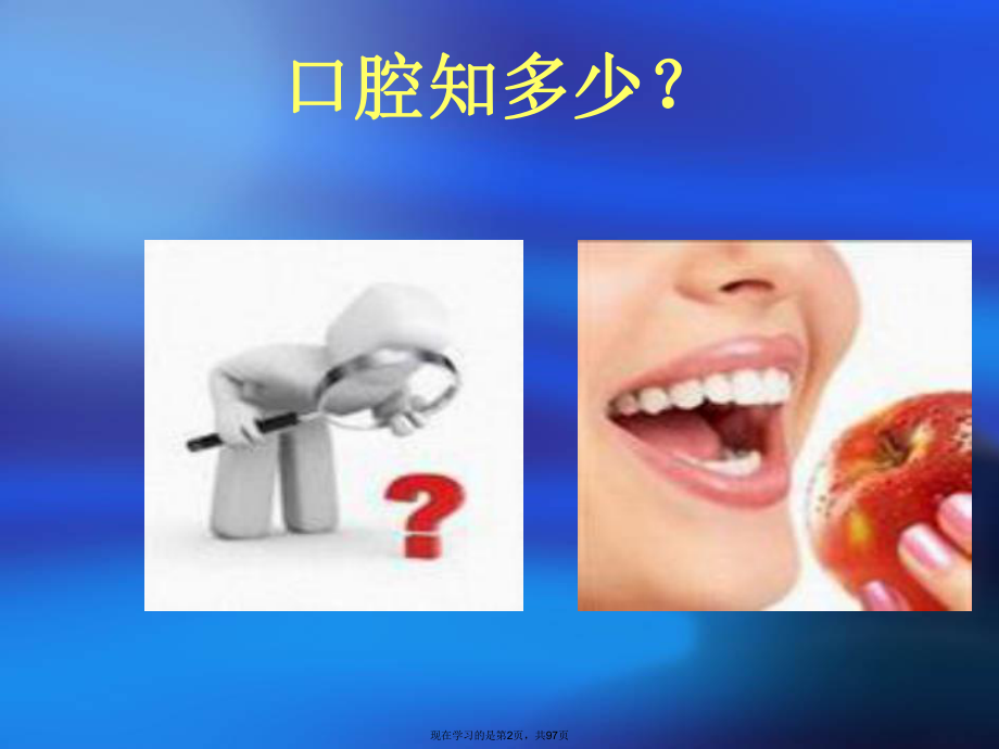 口腔颌面部解剖生理.ppt_第2页