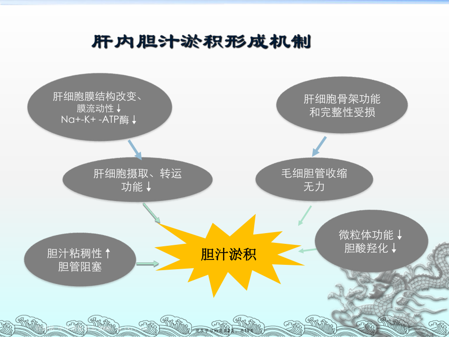 保肝药物思美泰作用和机制探讨课件.ppt_第2页