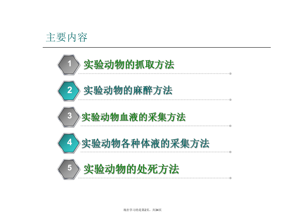 动物实验与血清学试验.ppt_第2页