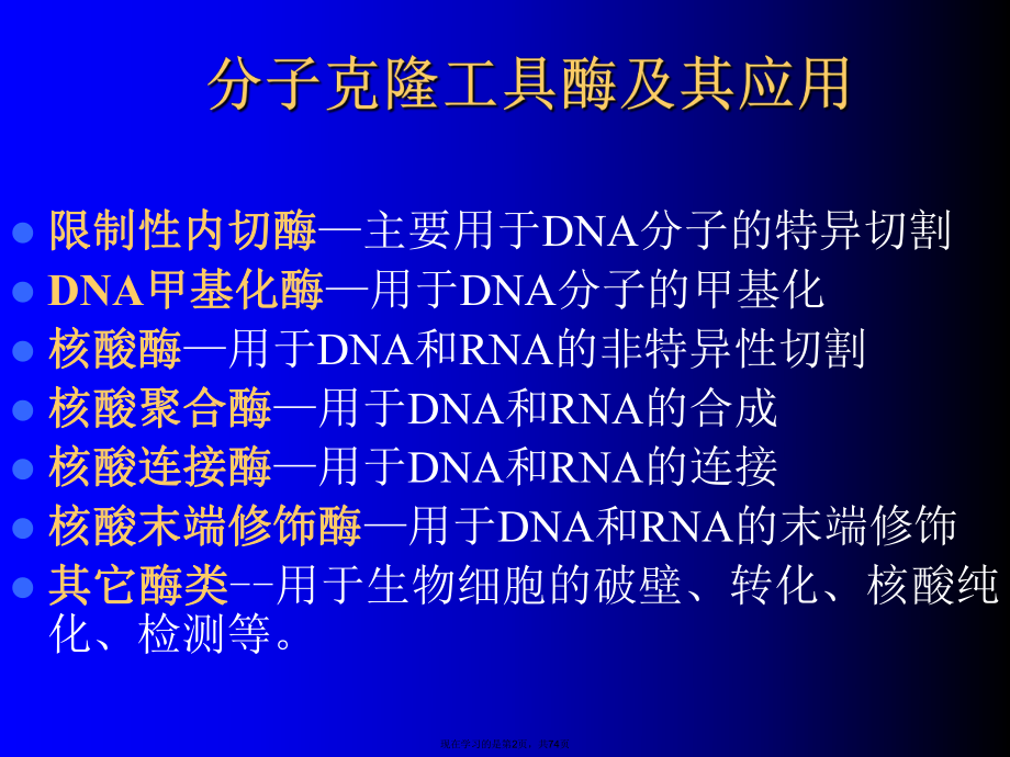 基因克隆的酶学基础 (4).ppt_第2页