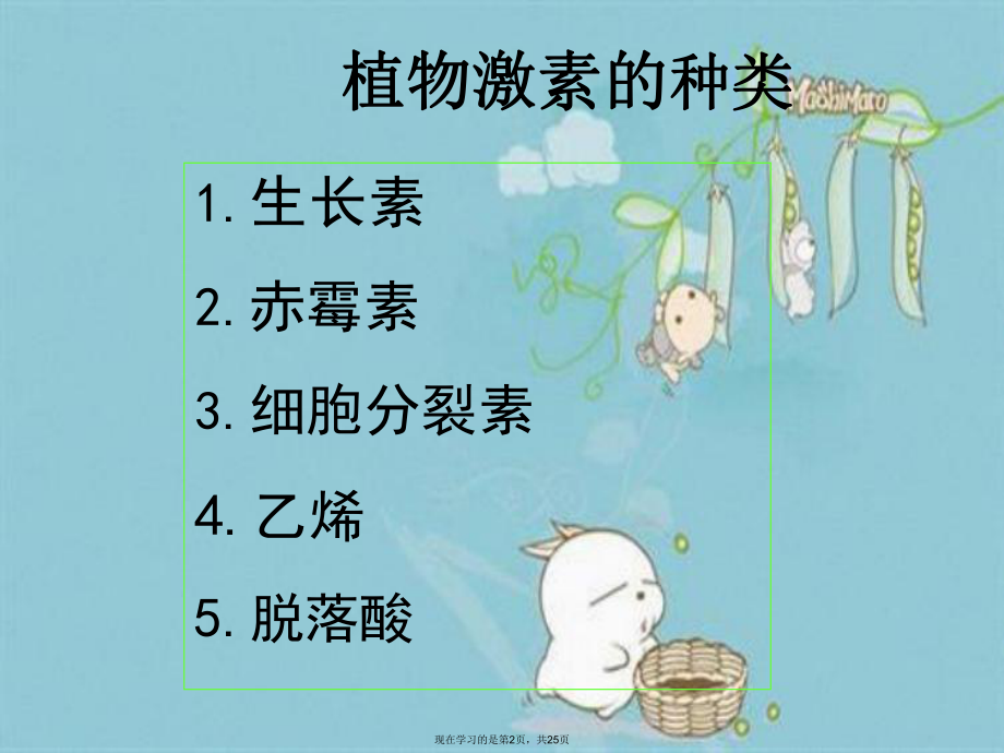 其他植物激素上.ppt_第2页