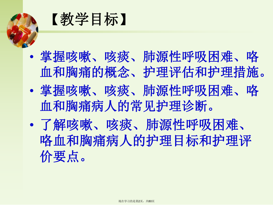 呼吸系统第一节概述.ppt_第2页