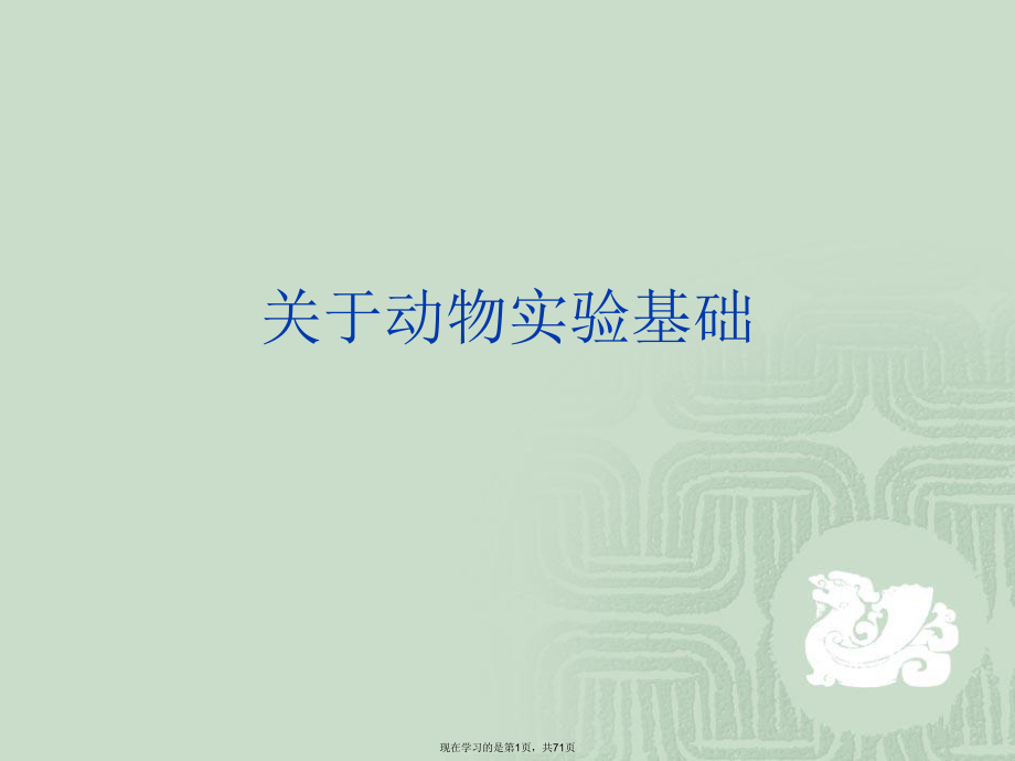 动物实验基础.ppt_第1页