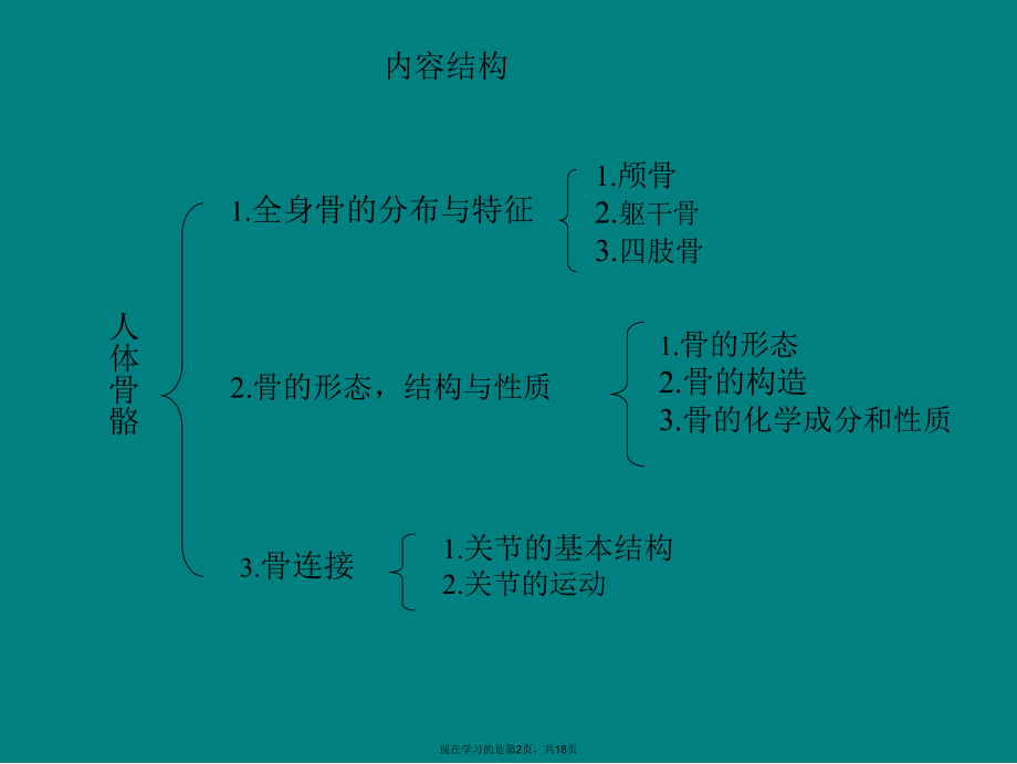 人体骨骼构成图解课件.ppt_第2页