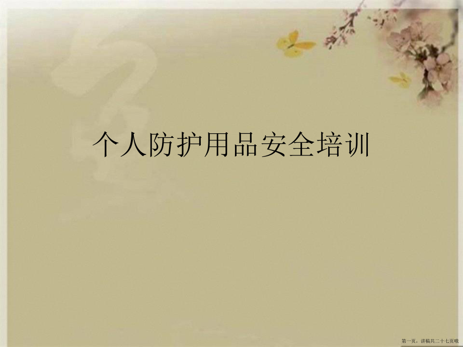 个人防护用品安全培训优秀课件讲稿.ppt_第1页