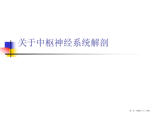 中枢神经系统解剖讲稿.ppt