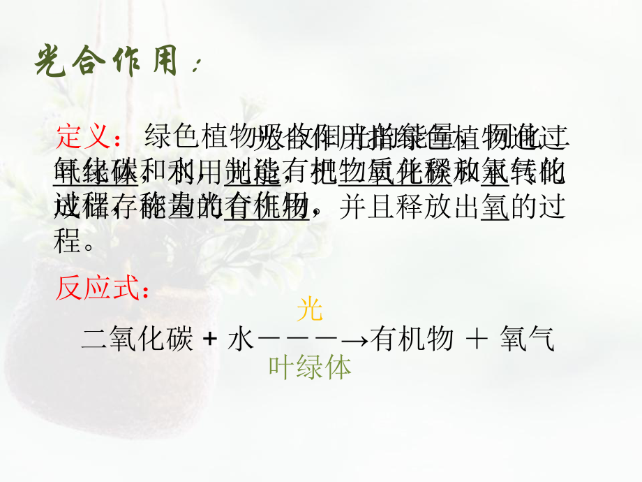 光合作用和呼吸作用的比较ppt课件.ppt_第2页