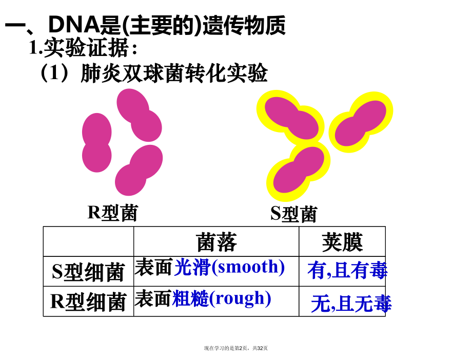 基因的本质复习.ppt_第2页