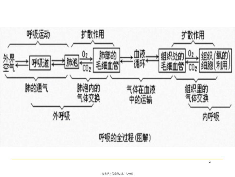 呼吸困难患者的紧急护理.ppt_第2页