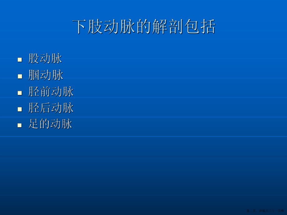 下肢动脉解剖讲稿.ppt_第2页