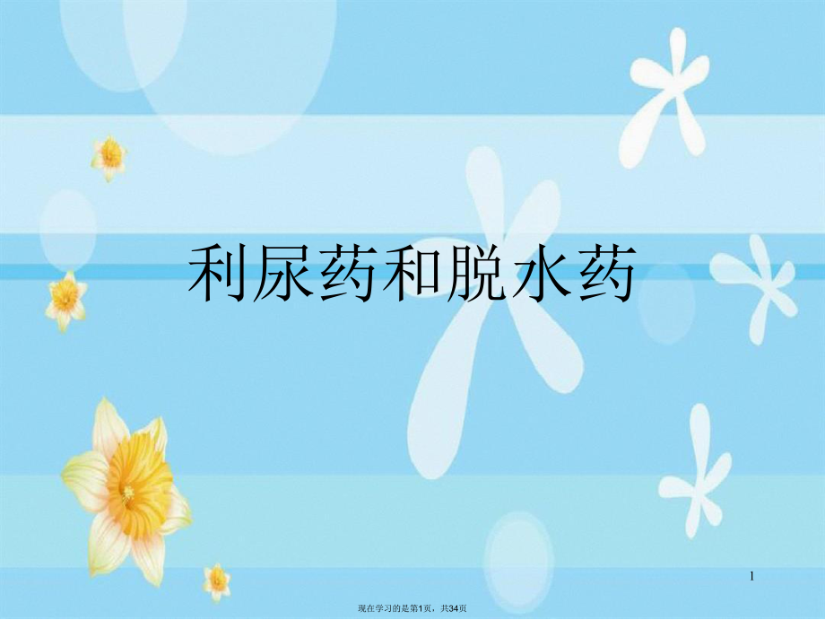 利尿药和脱水药优秀.ppt_第1页