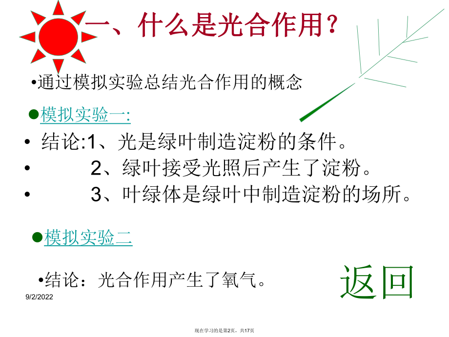 叶的光合作用.ppt_第2页