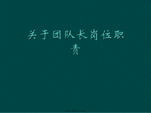 团队长岗位职责.ppt